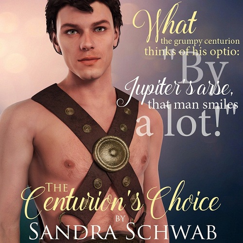 teaser image for The Centurion's Choice, by Sandra Schwab